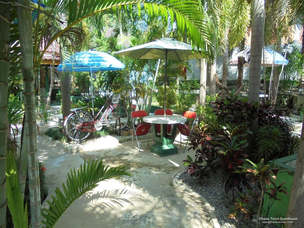 Swiss Ticino Guesthouse & Restaurant Mae Wang エクステリア 写真
